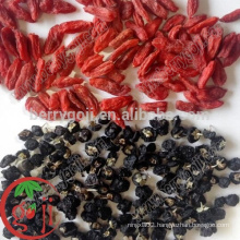 Wild Black Goji Berries wholesale